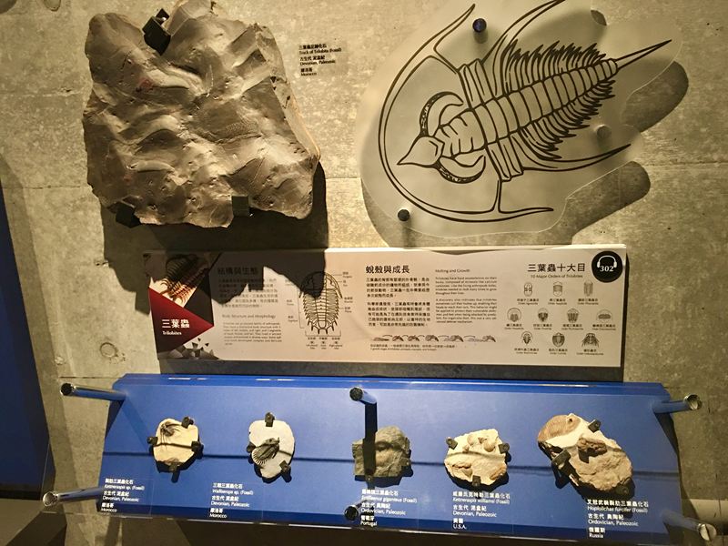 左鎮化石園區
