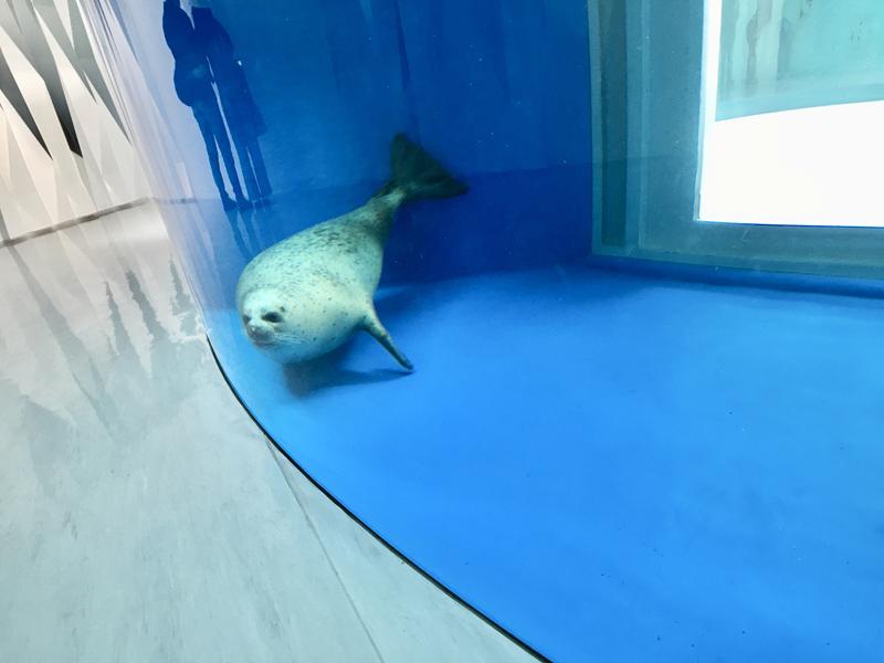 桃園水族館