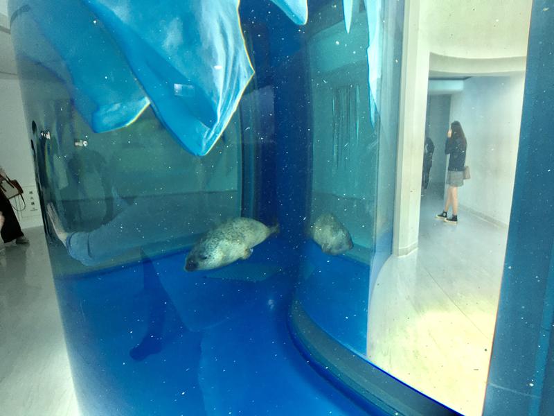 桃園水族館