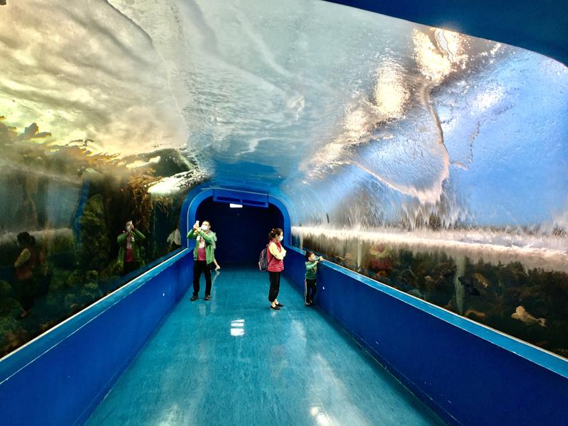 桃園水族館