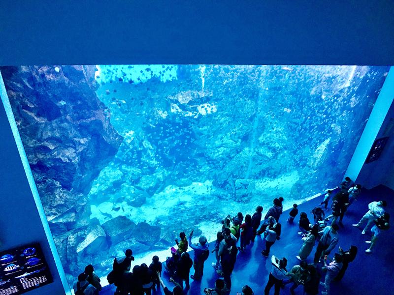 桃園水族館