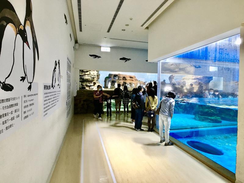 桃園水族館