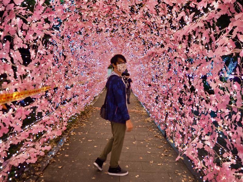 礁溪溫泉燈花季