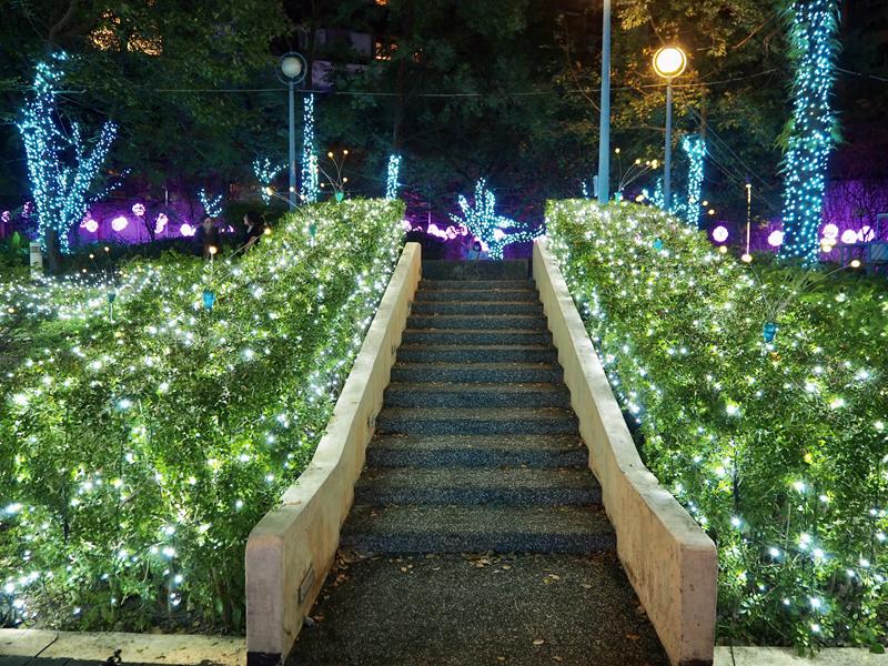 礁溪溫泉燈花季