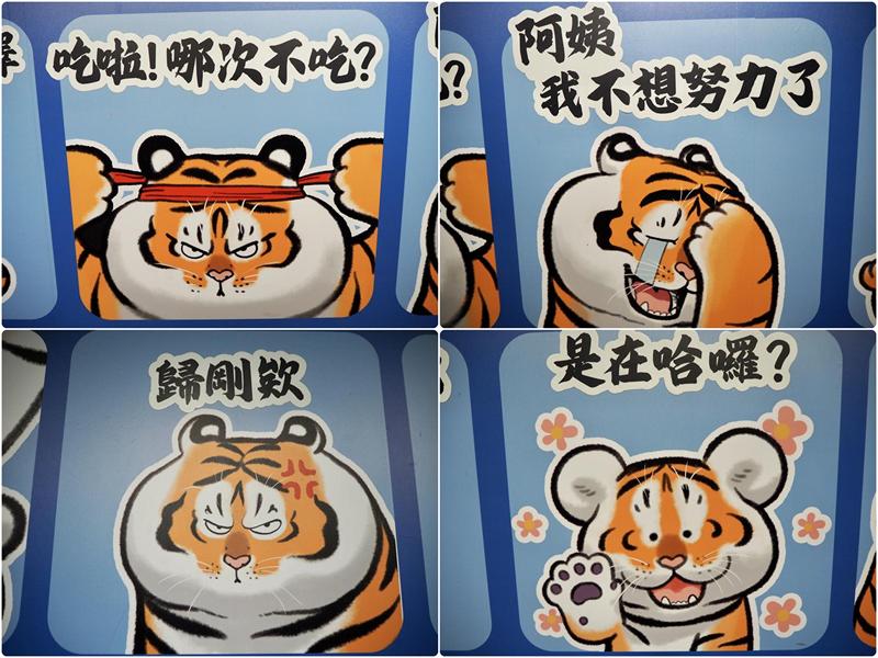 我不是胖虎周年展