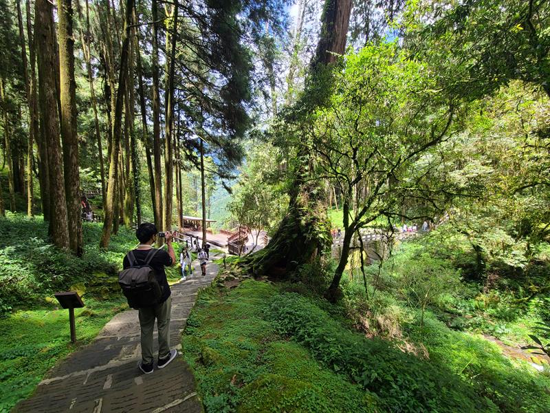 阿里山森林遊樂園區