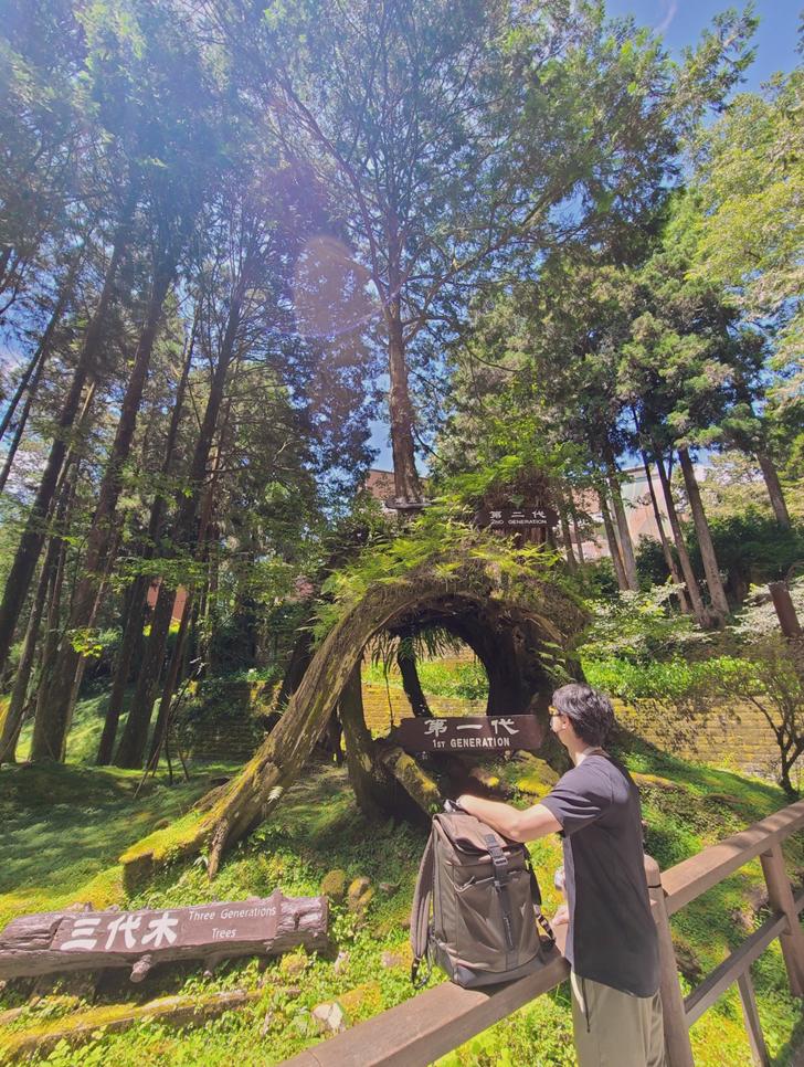 阿里山森林遊樂園區