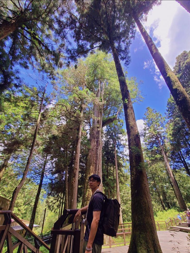 阿里山森林遊樂園區