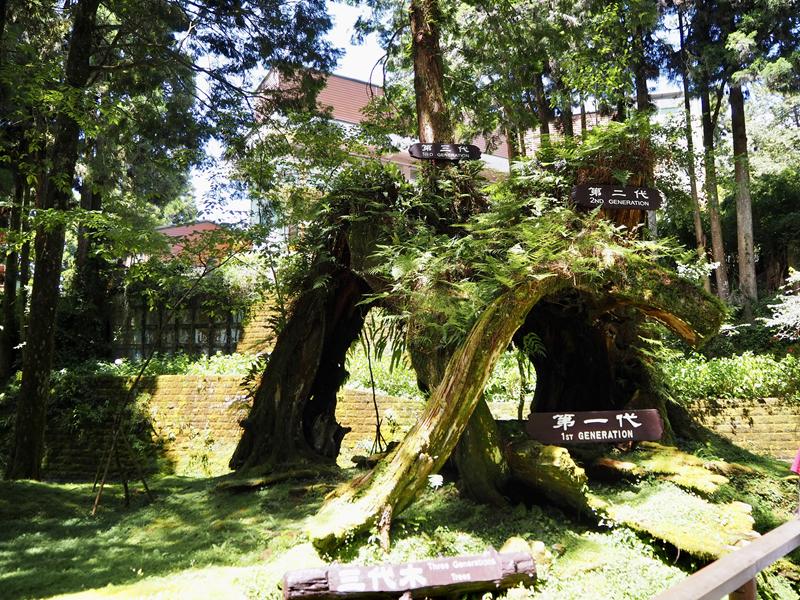 阿里山森林遊樂園區