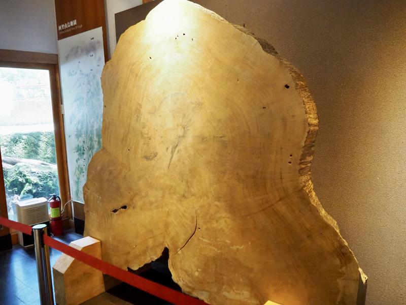 阿里山森林遊樂園區