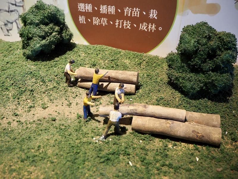 阿里山森林遊樂園區