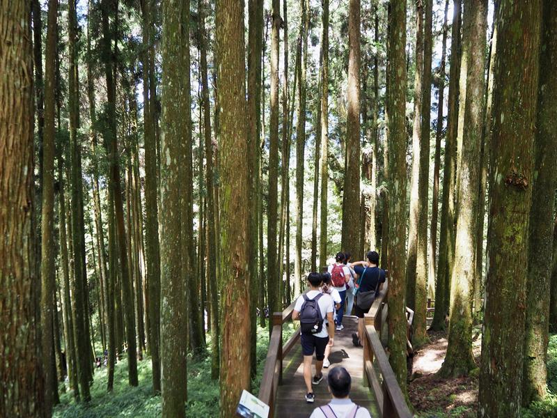 阿里山森林遊樂園區