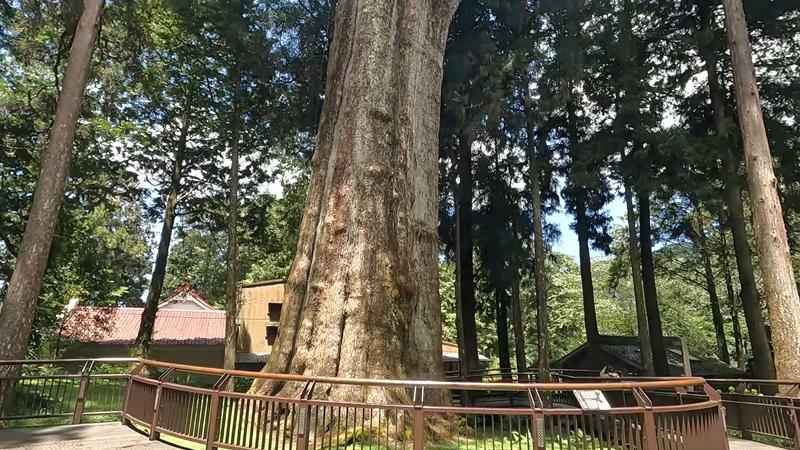 阿里山森林遊樂園區