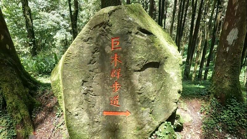 阿里山森林遊樂園區