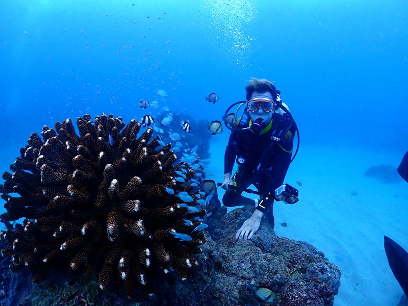 墾丁潛水