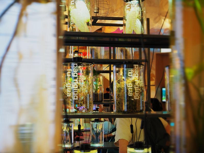 世界客家博覽會