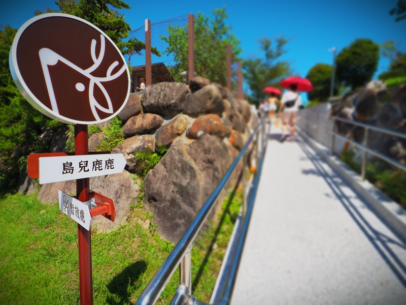 綠舞國際觀光飯店