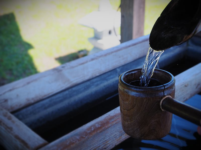 綠舞國際觀光飯店