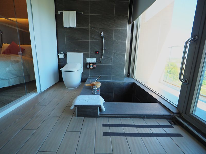 綠舞國際觀光飯店