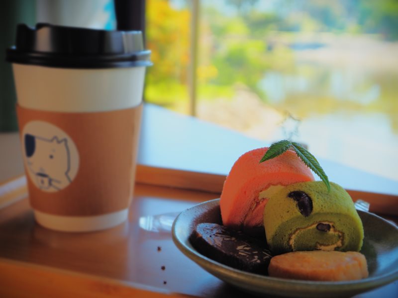 綠舞國際觀光飯店