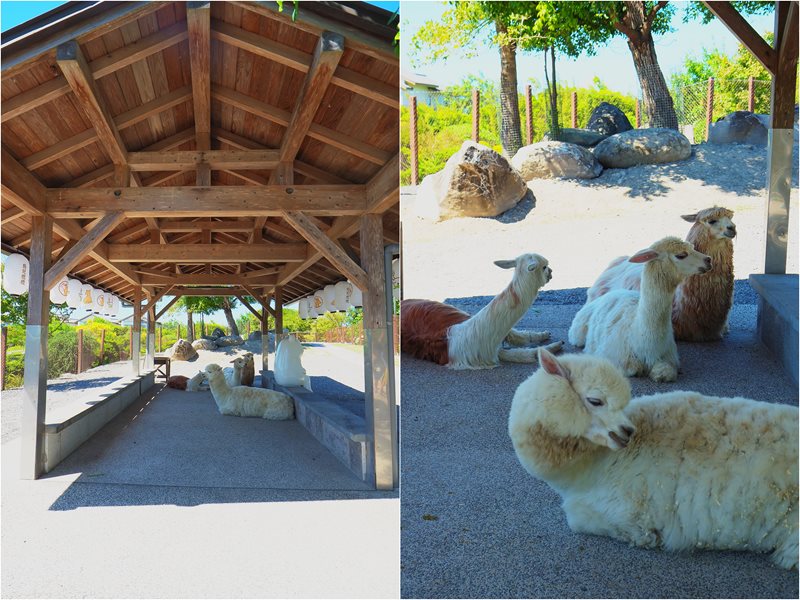 綠舞國際觀光飯店