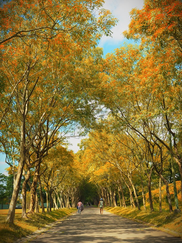 羅東運動公園