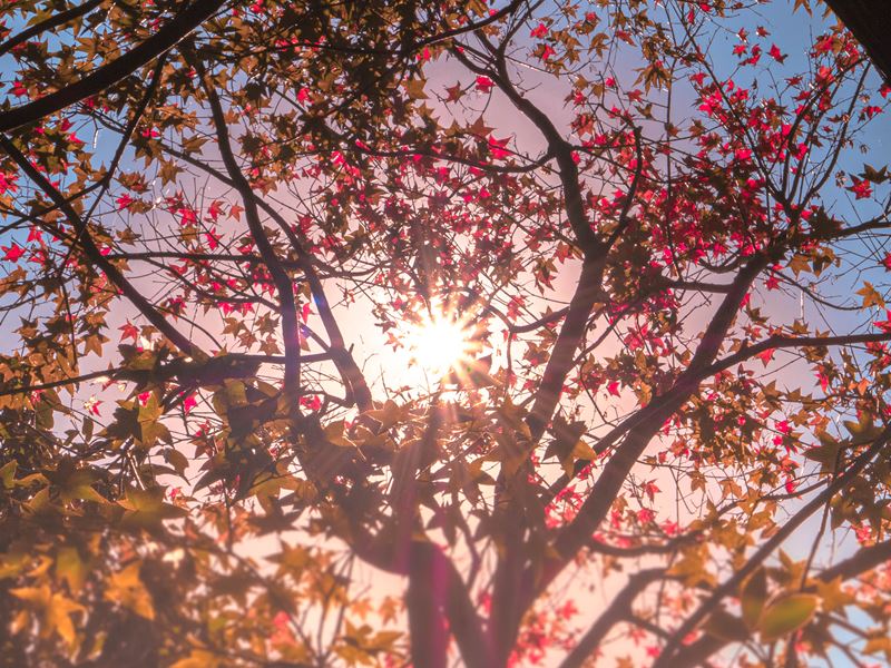 九份金瓜石神社