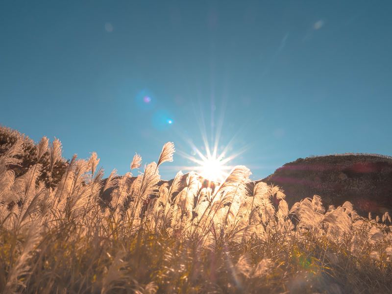 九份金瓜石神社