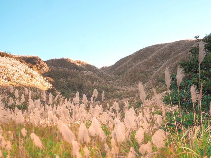 九份金瓜石神社
