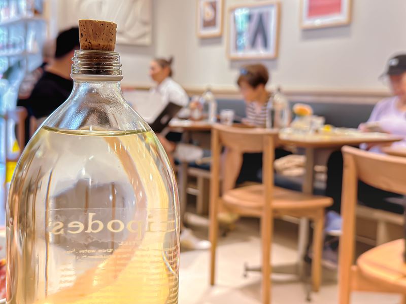 The Antipodean Specialty Coffee