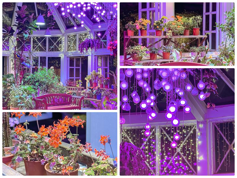 花蓮悅來大飯店