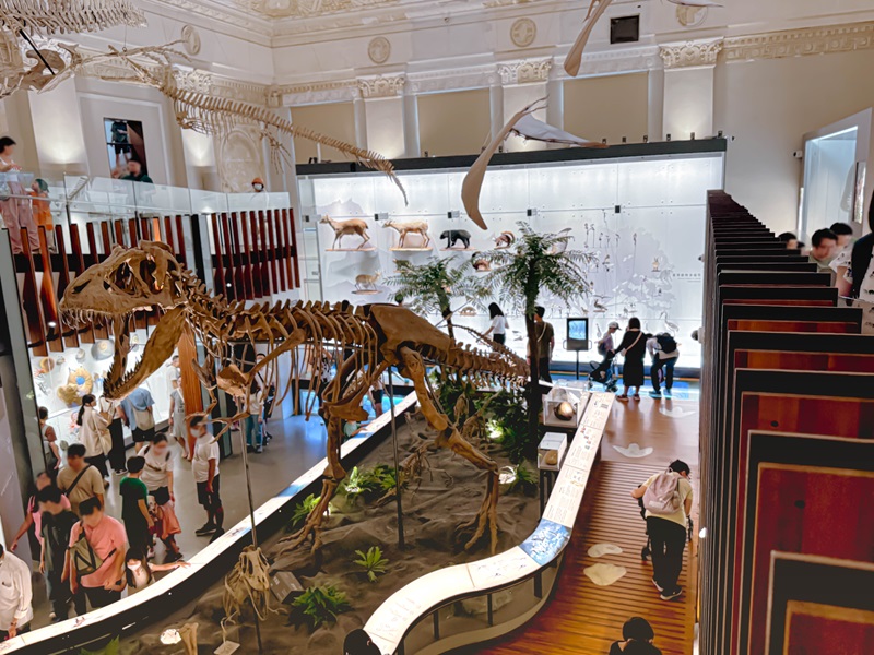 古生物館