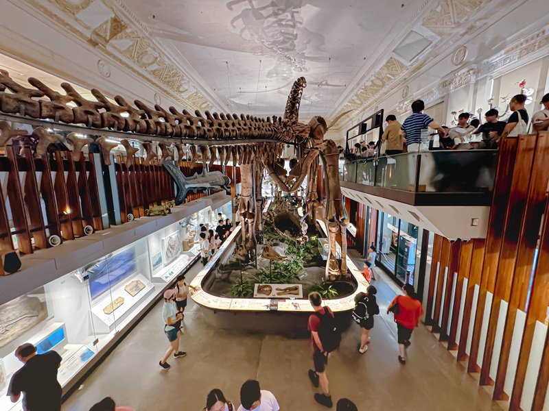 古生物館