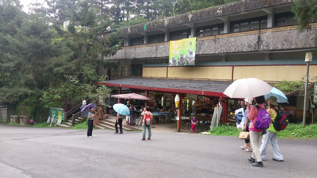 溪頭森林遊樂區