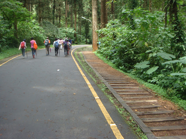溪頭森林遊樂區
