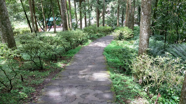 溪頭森林遊樂區