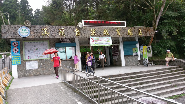 溪頭森林遊樂區