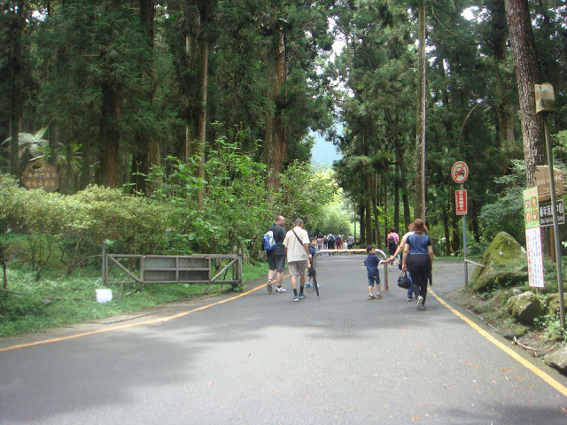 溪頭森林遊樂區