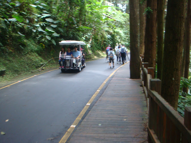 溪頭森林遊樂區