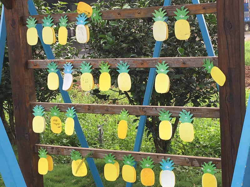 旺萊山鳳梨文化園區