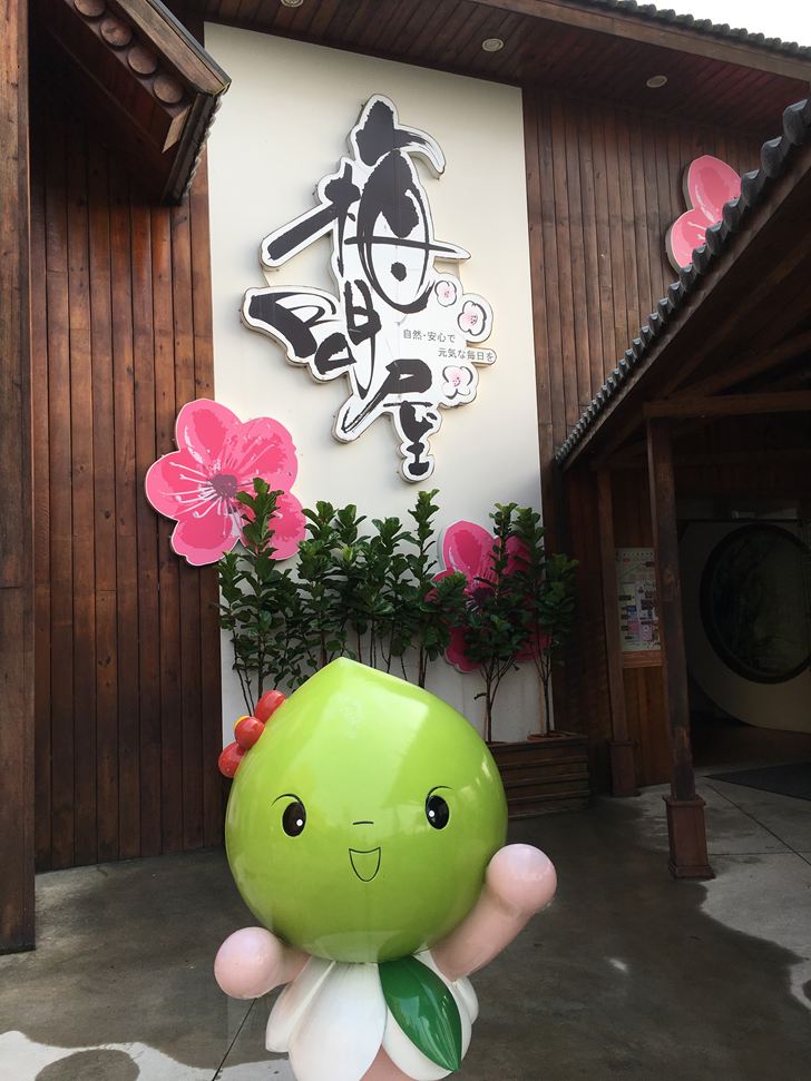 梅問屋梅子元氣館