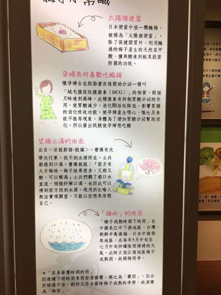 梅問屋梅子元氣館