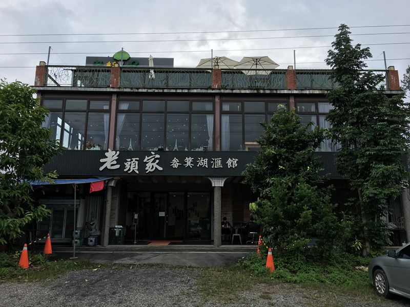老樹8