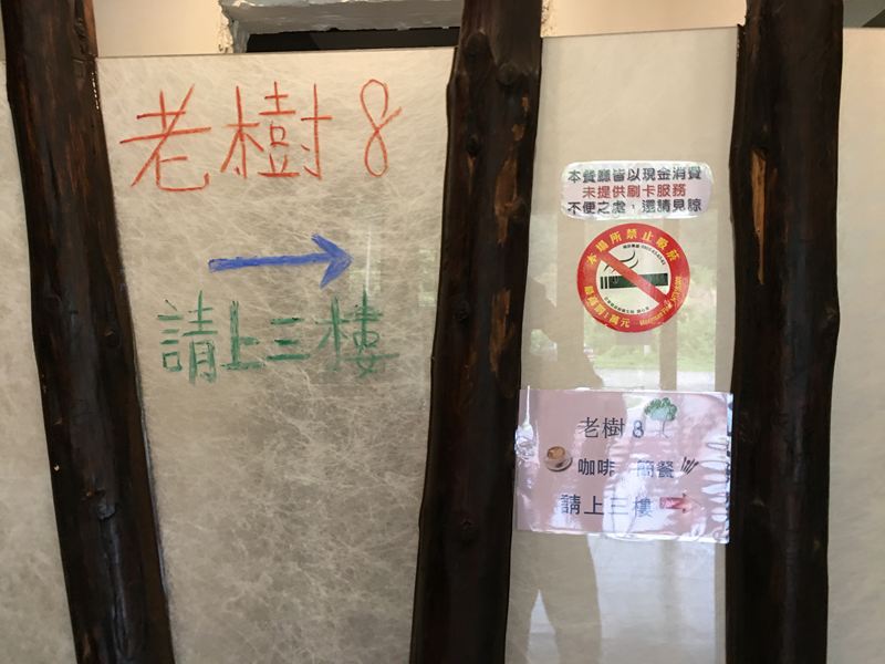 老樹8