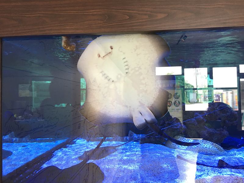 金車水產養殖研發中心