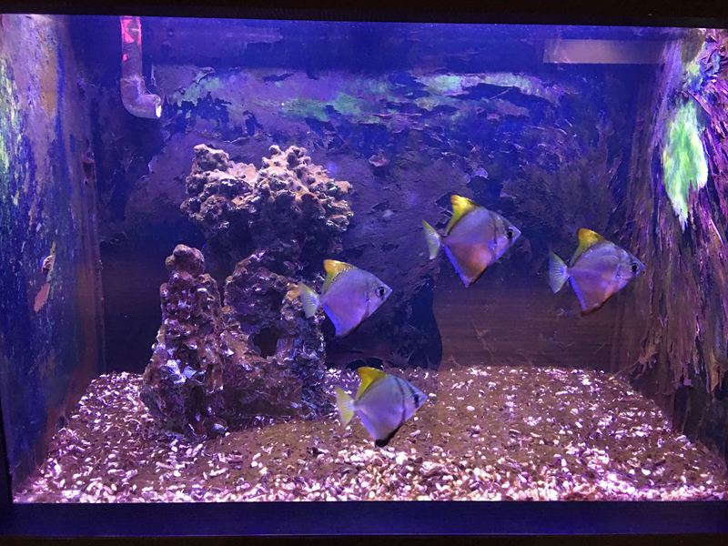 金車水產養殖研發中心