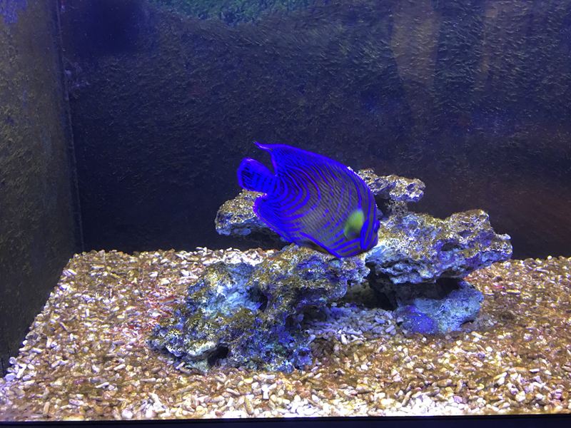 金車水產養殖研發中心