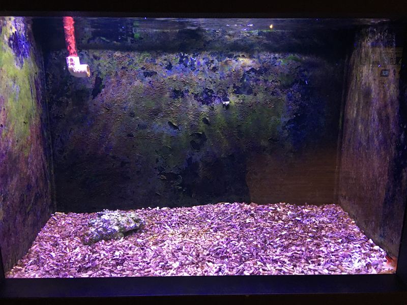 金車水產養殖研發中心