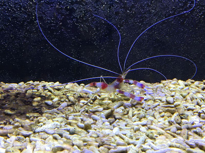 金車水產養殖研發中心