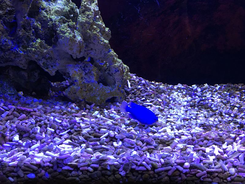 金車水產養殖研發中心